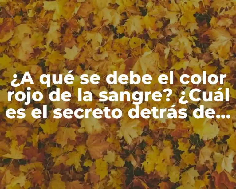 ¿A qué se debe el color rojo de la sangre? ¿Cuál es el secreto detrás de este fenómeno fascinante?