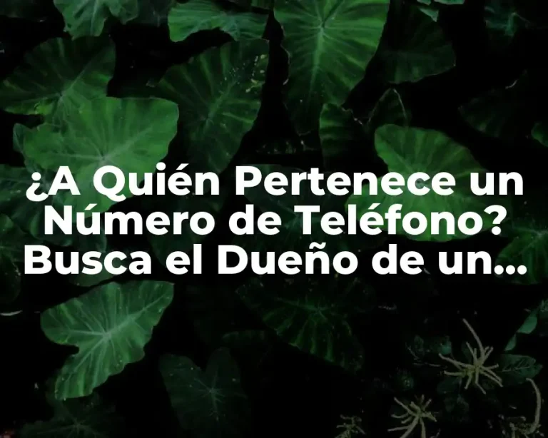 ¿A Quién Pertenece un Número de Teléfono? Busca el Dueño de un Número de Teléfono