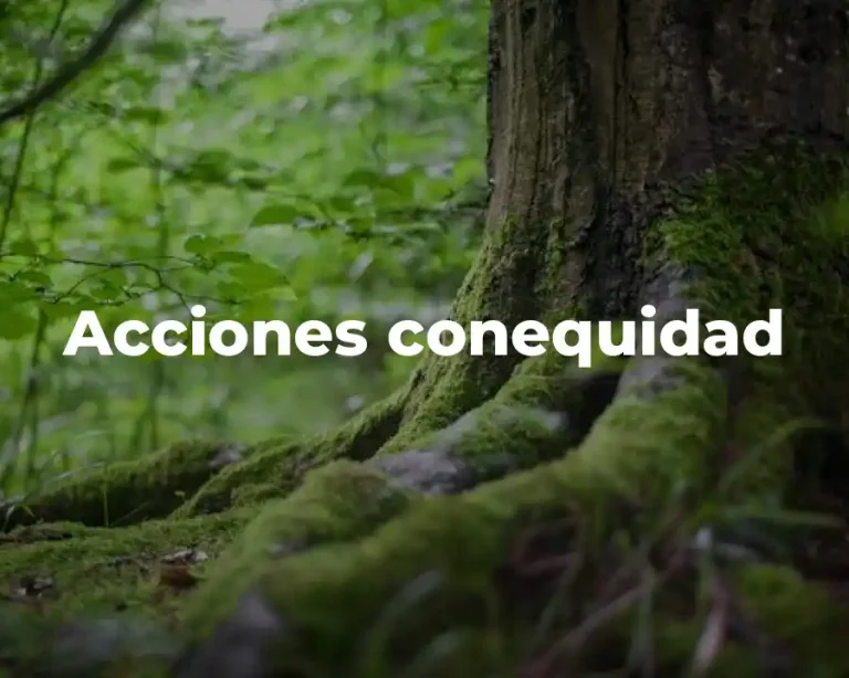 Acciones conequidad