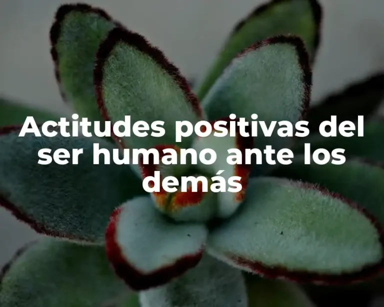 Actitudes positivas del ser humano ante los demás