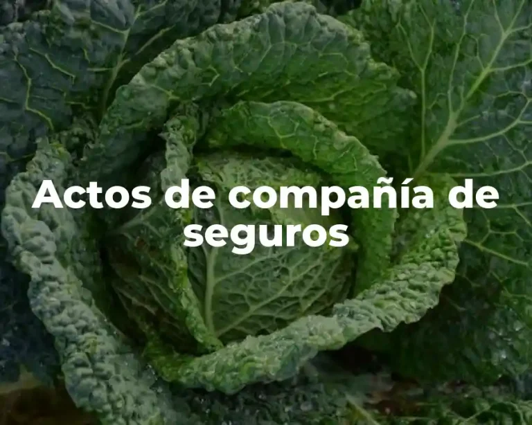 Actos de compañía de seguros