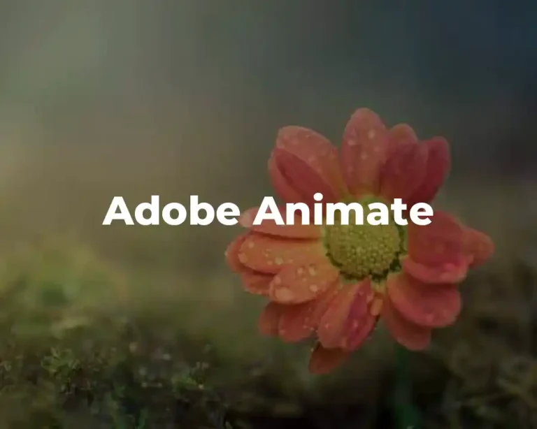 Adobe Animate