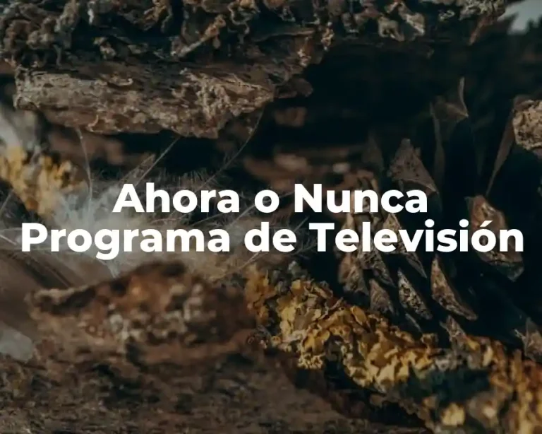 Ahora o Nunca Programa de Televisión