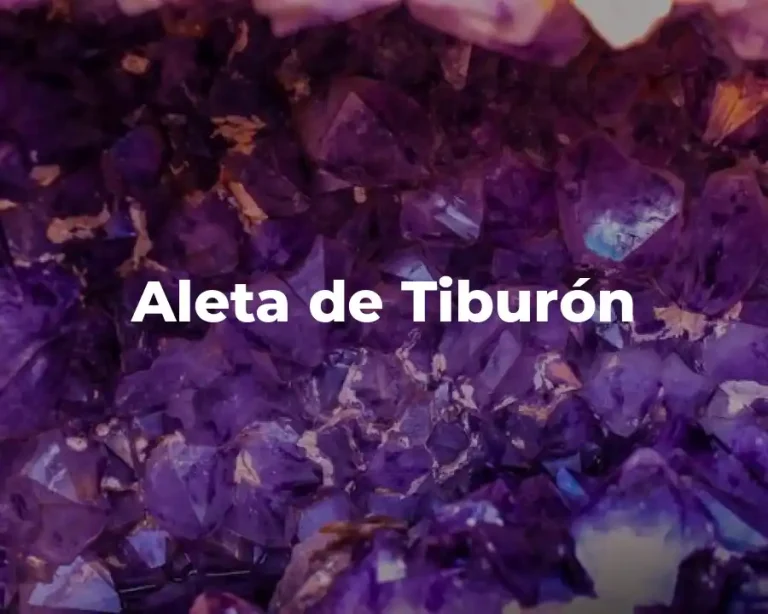 Aleta de Tiburón