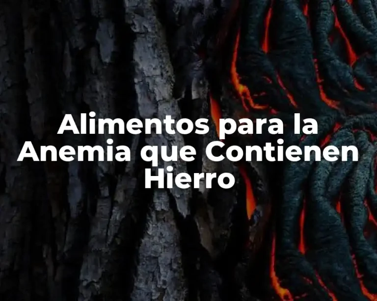 Alimentos para la Anemia que Contienen Hierro