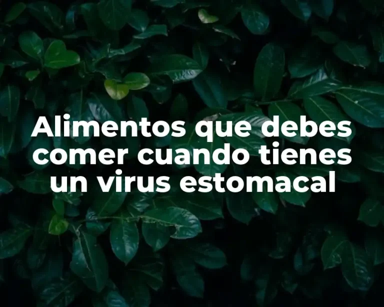 Alimentos que debes comer cuando tienes un virus estomacal