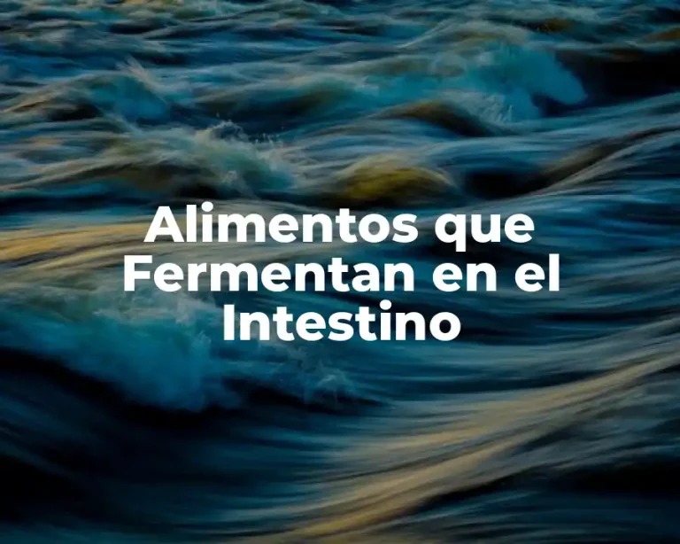 Alimentos que Fermentan en el Intestino