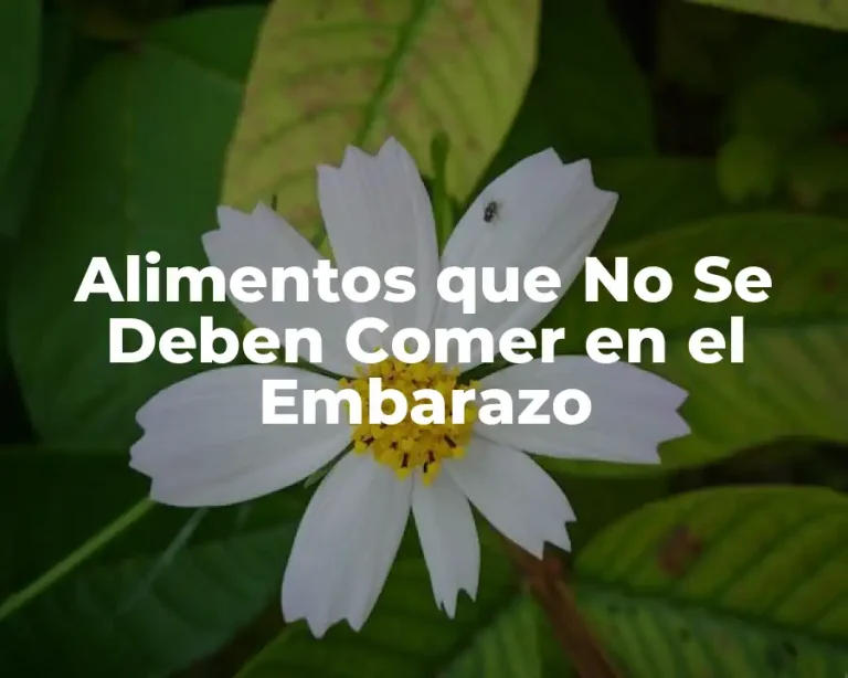 Alimentos que No Se Deben Comer en el Embarazo