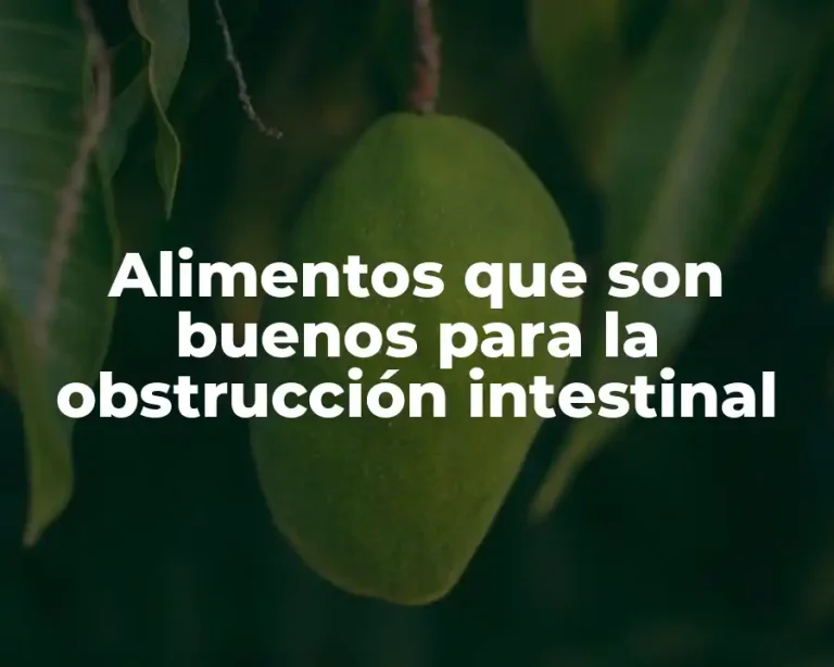 Alimentos que son buenos para la obstrucción intestinal