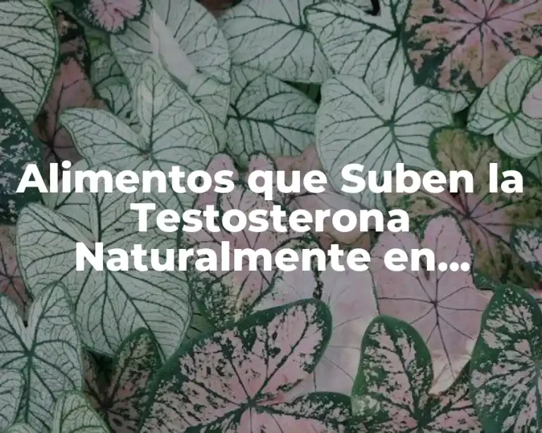 Alimentos que Suben la Testosterona Naturalmente en Hombres