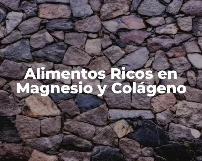 Alimentos Ricos en Magnesio y Colágeno