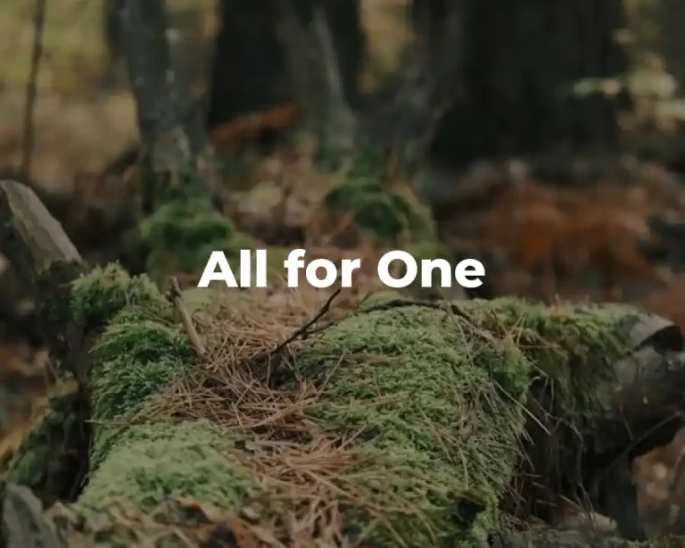 All for One