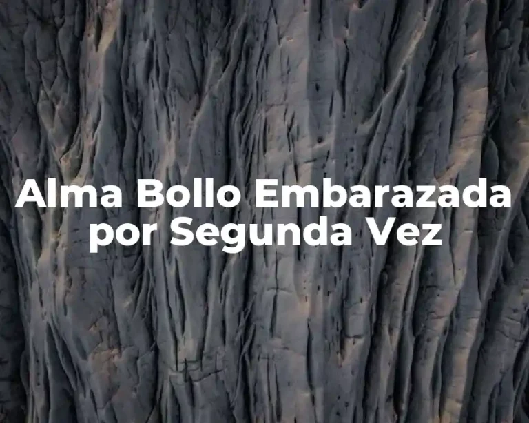 Alma Bollo Embarazada por Segunda Vez