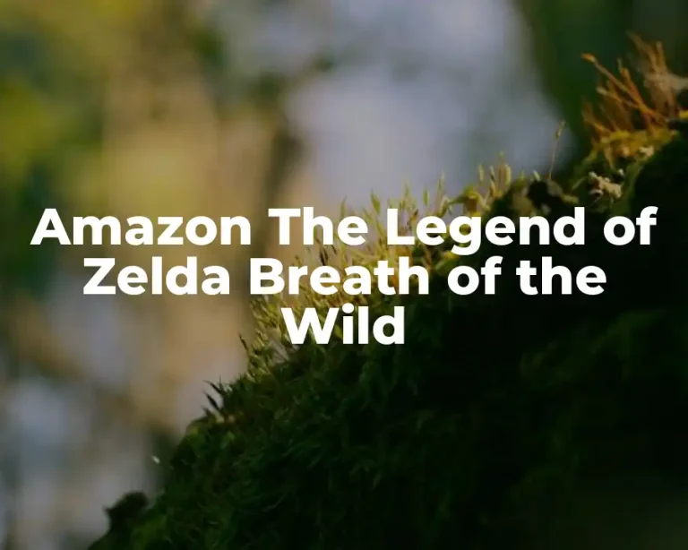 Amazon The Legend of Zelda Breath of the Wild