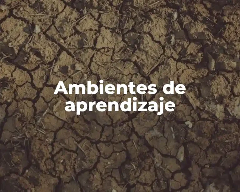 Ambientes de aprendizaje