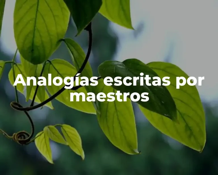 Analogías escritas por maestros