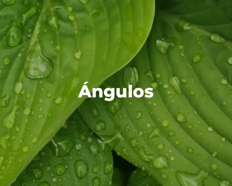 Ángulos