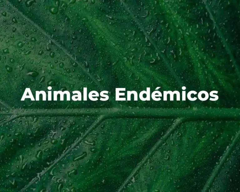 Animales Endémicos
