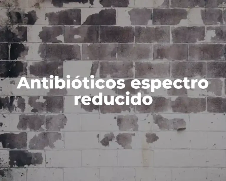 Antibióticos espectro reducido