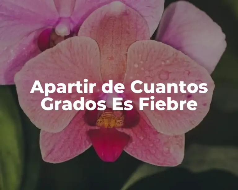 Apartir de Cuantos Grados Es Fiebre