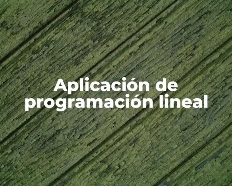 Aplicación de programación lineal