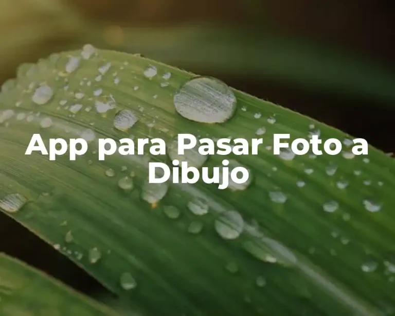 App para Pasar Foto a Dibujo