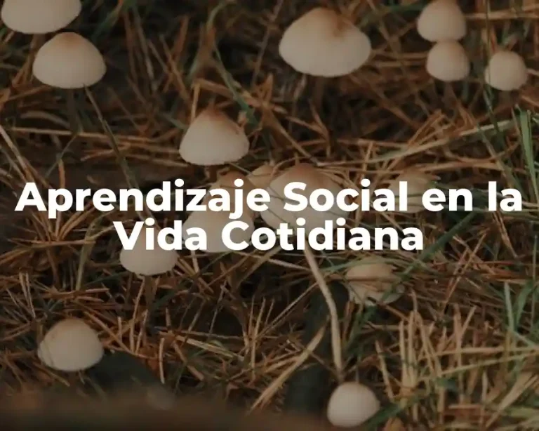 Aprendizaje Social en la Vida Cotidiana