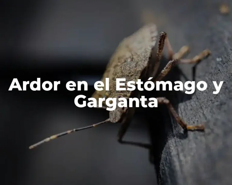 Ardor en el Estómago y Garganta