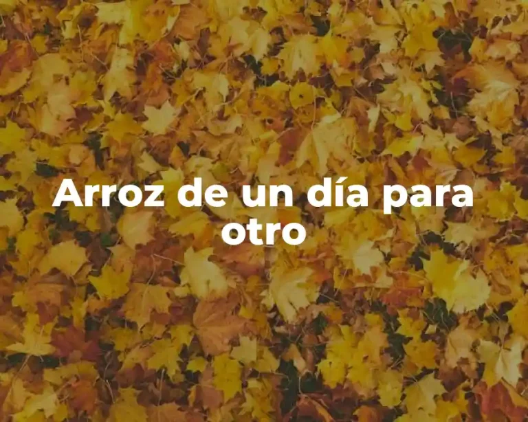 Arroz de un día para otro