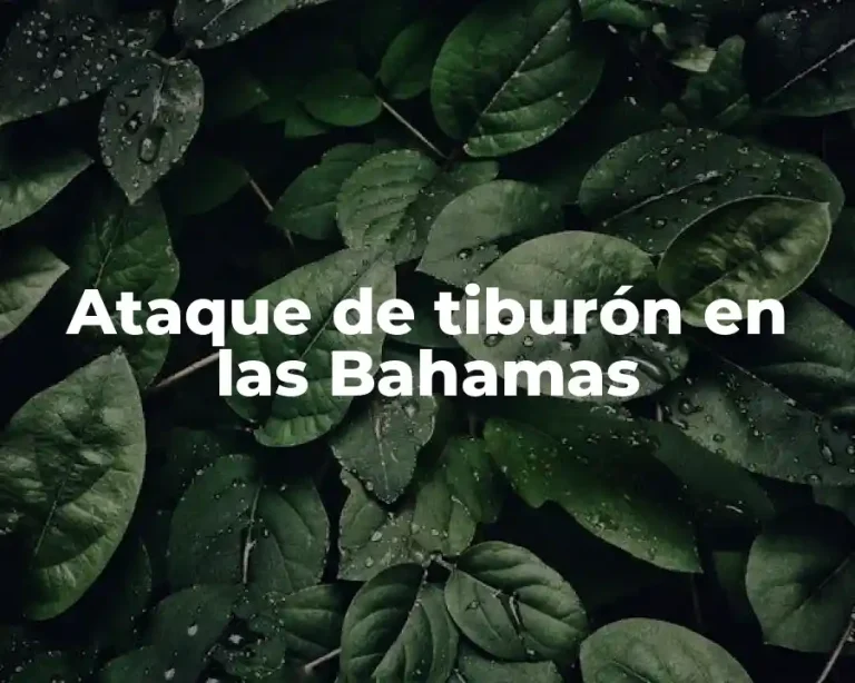 Ataque de tiburón en las Bahamas