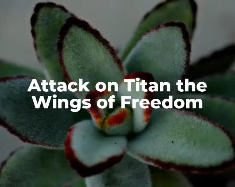 Attack on Titan the Wings of Freedom