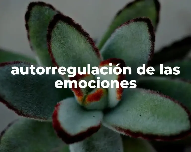 autorregulación de las emociones