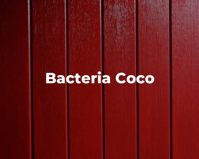 Bacteria Coco