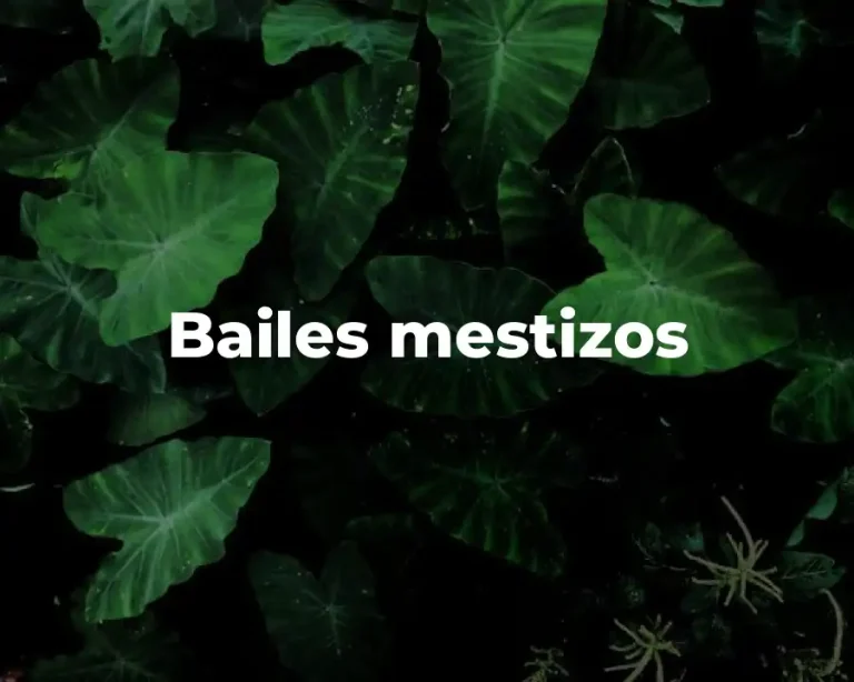 Bailes mestizos