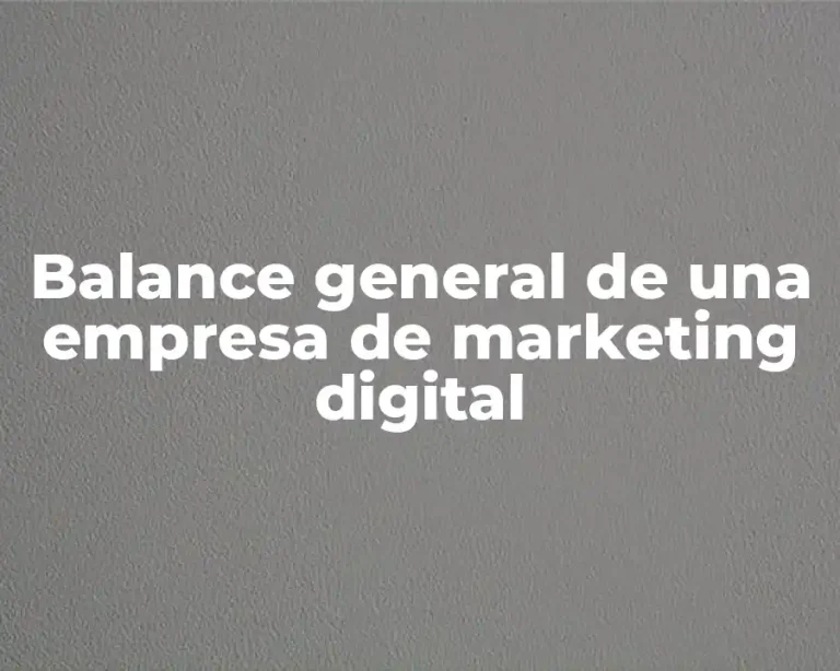 Balance general de una empresa de marketing digital