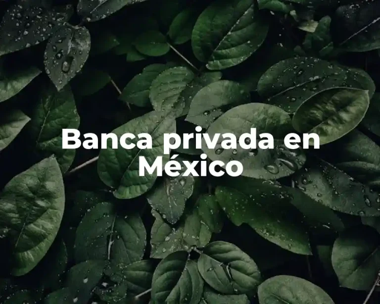 Banca privada en México