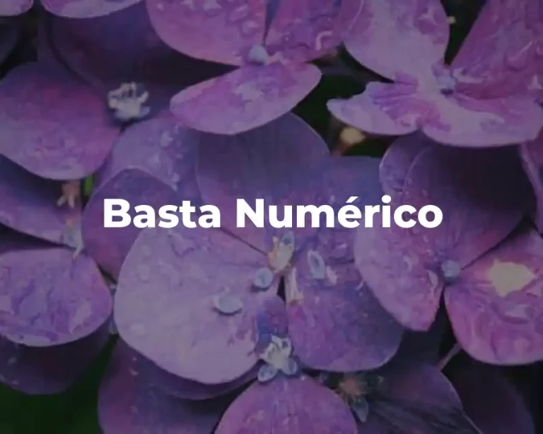 Basta Numérico