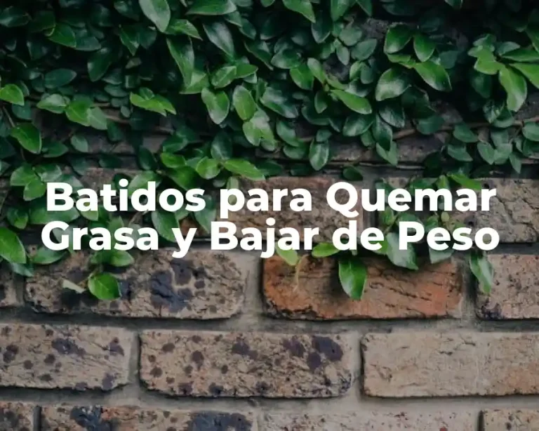 Batidos para Quemar Grasa y Bajar de Peso