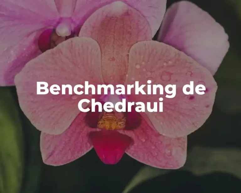 Benchmarking de Chedraui