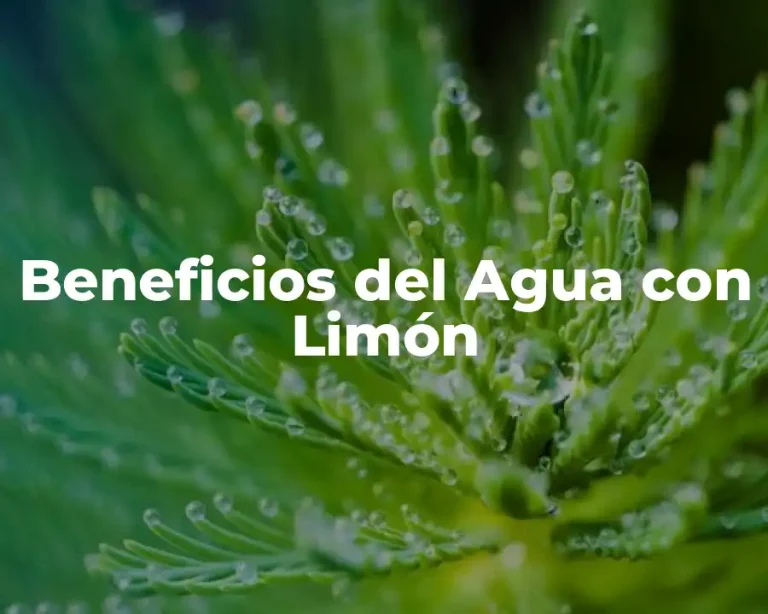 Beneficios del Agua con Limón
