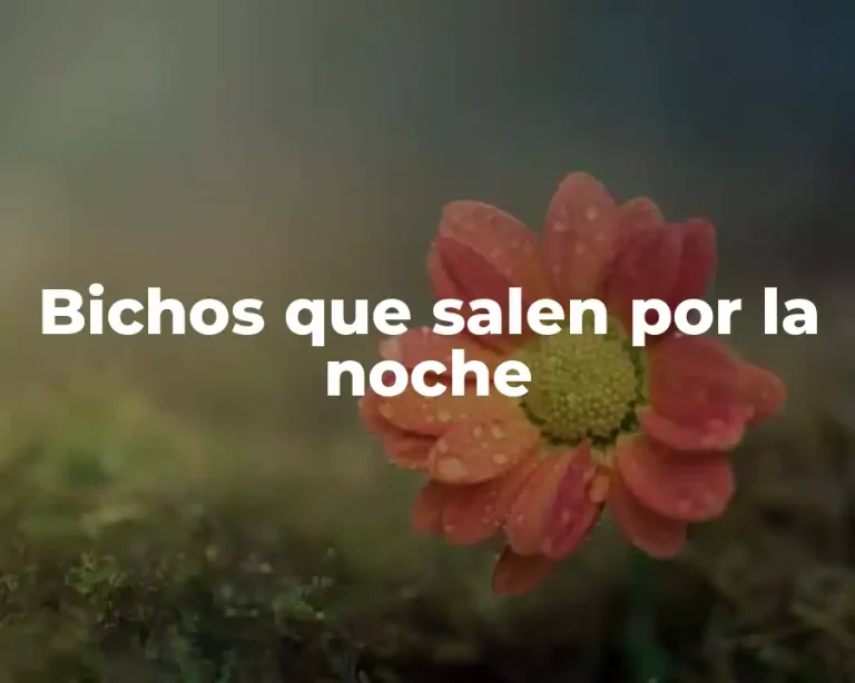 Bichos que salen por la noche