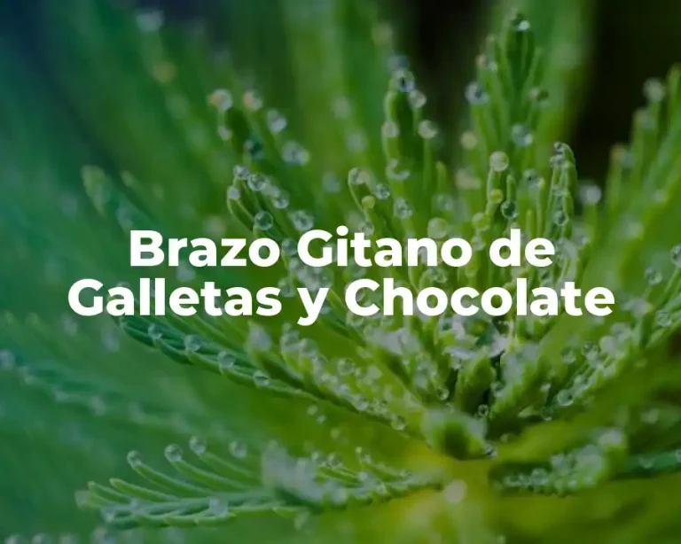 Brazo Gitano de Galletas y Chocolate