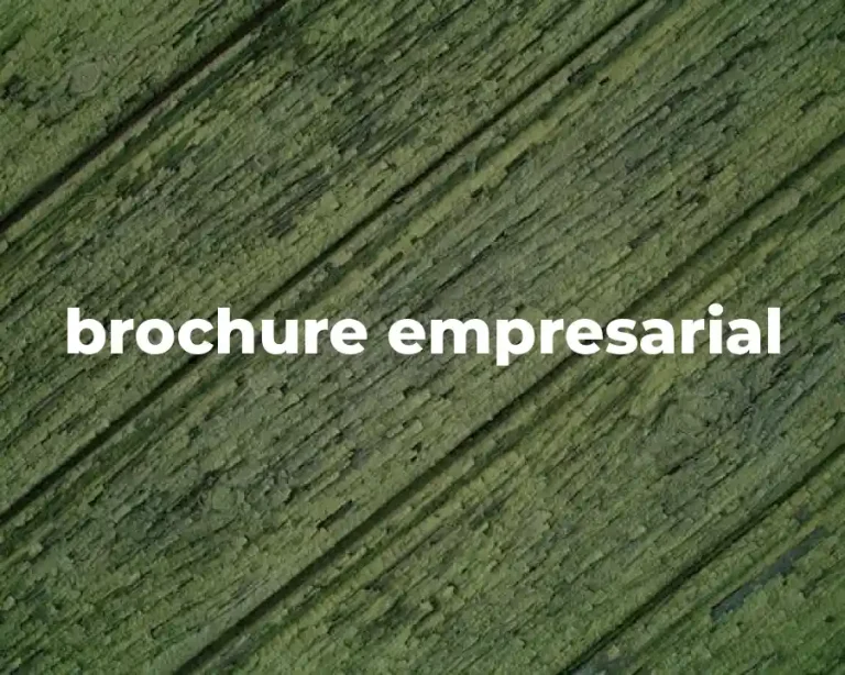 brochure empresarial