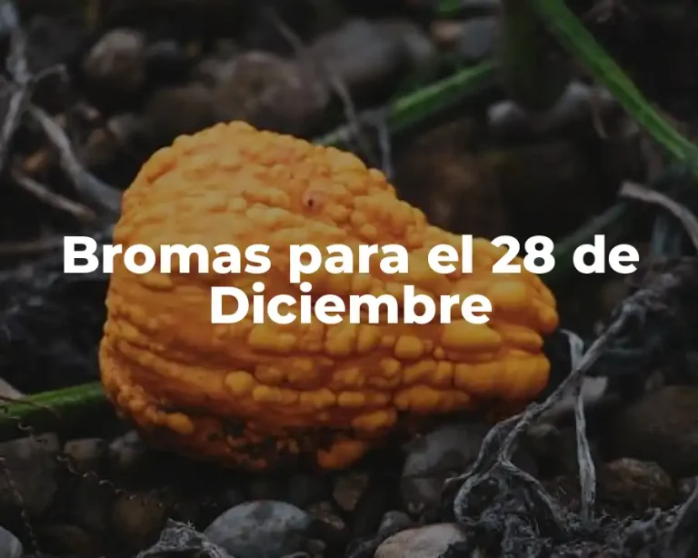 Bromas para el 28 de Diciembre