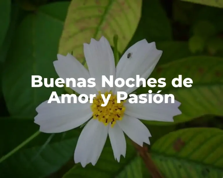 Buenas Noches de Amor y Pasión