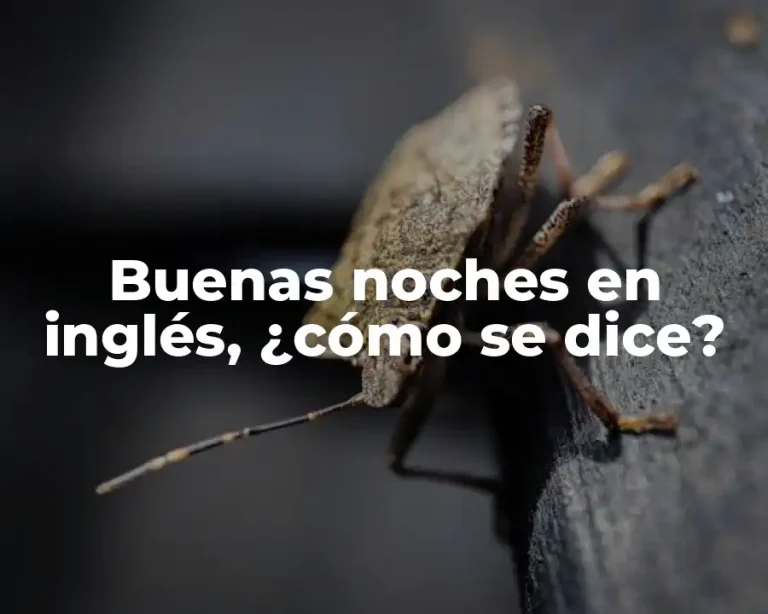 Buenas noches en inglés, ¿cómo se dice?