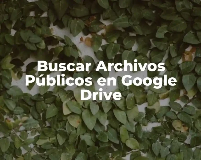 Buscar Archivos Públicos en Google Drive
