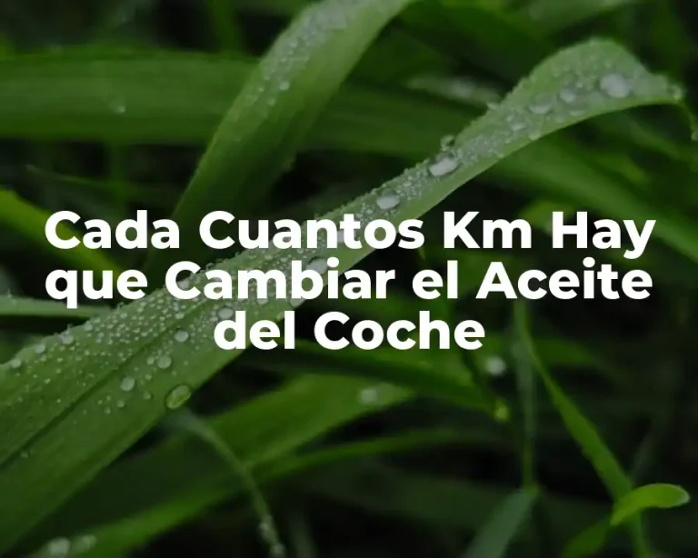 Cada Cuantos Km Hay que Cambiar el Aceite del Coche