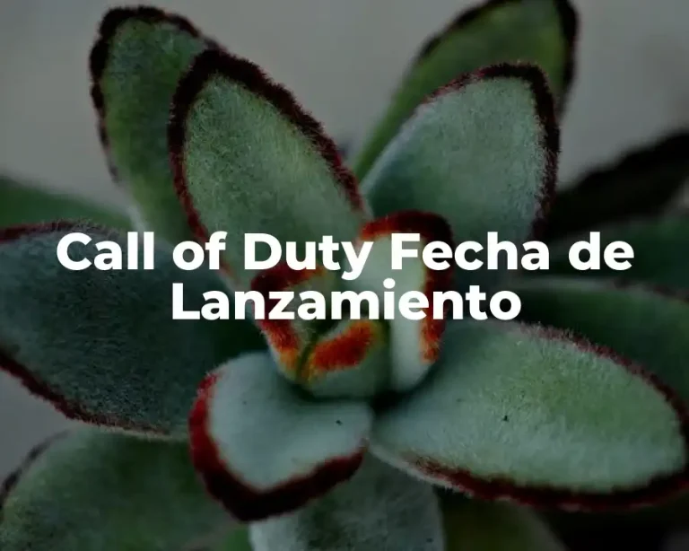 Call of Duty Fecha de Lanzamiento