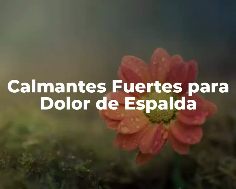 Calmantes Fuertes para Dolor de Espalda
